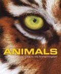 A Visual Guide To The Animal Kingdom: Animals
