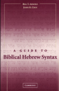 Guide To Biblical Hebrew Syntax, A