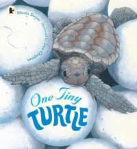 Image of One Tiny Turtle