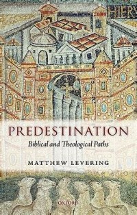 Image of Predestination: Biblical and Theological Paths